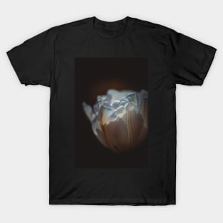 White tulip flower. T-Shirt